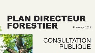 CONSULTATION PUBLIQUE - Plan directeur forestier